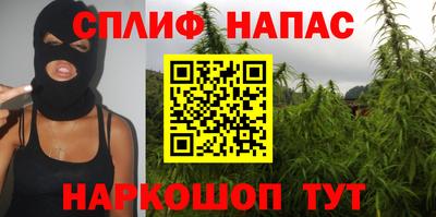 гашиш Кингисепп